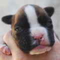 Tanyati K Litter