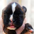 Tanyati K Litter