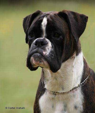 Ch Tanyati 'Nother Feeling