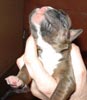 Tanyati T Litter