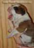 Tanyati Z Litter